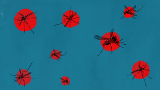It's Time to Declare War on Mosquitoes
